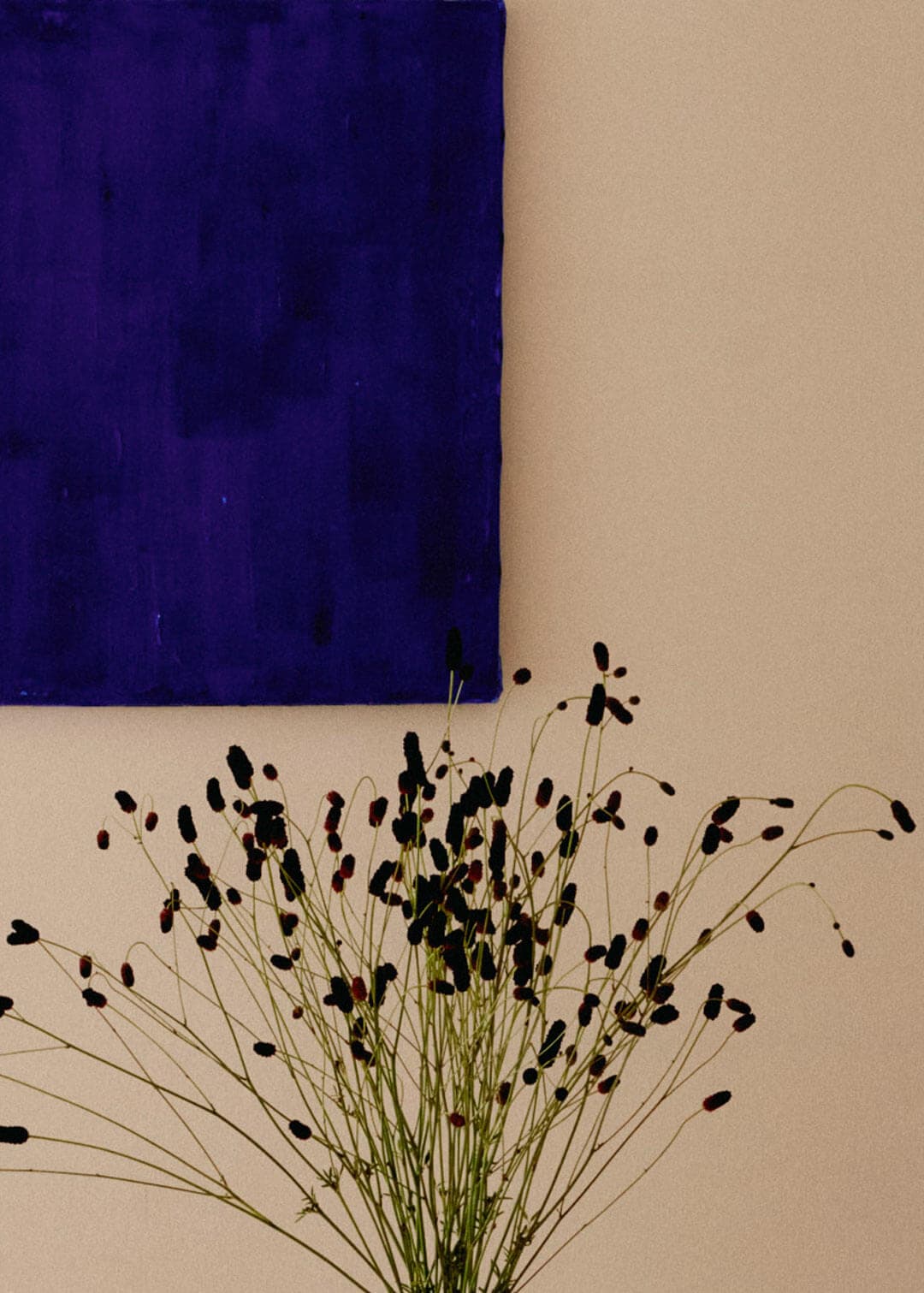 Pitture e prodotti speciali image