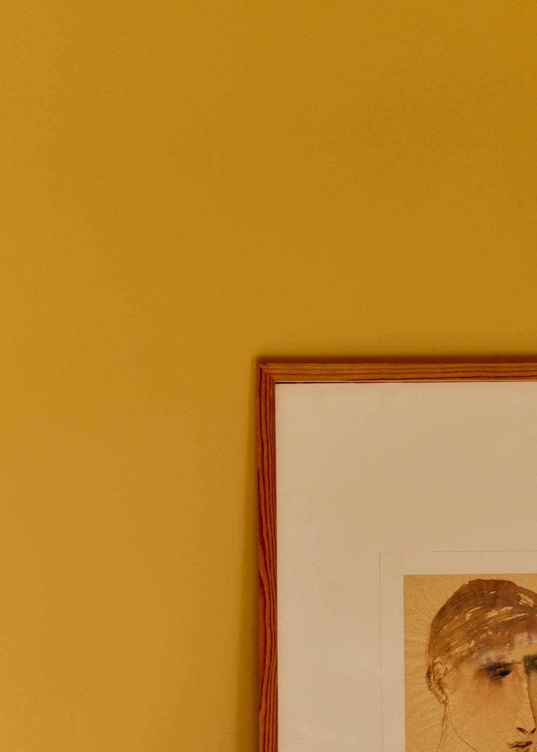 Primer e fondi image