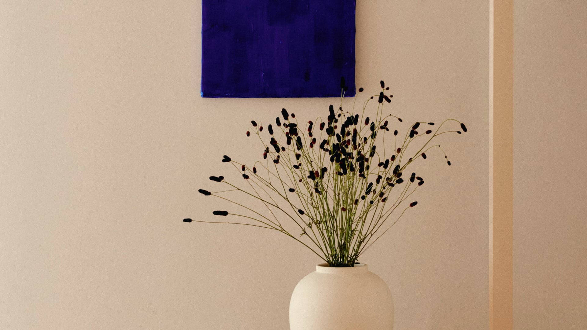 Pitture e prodotti speciali